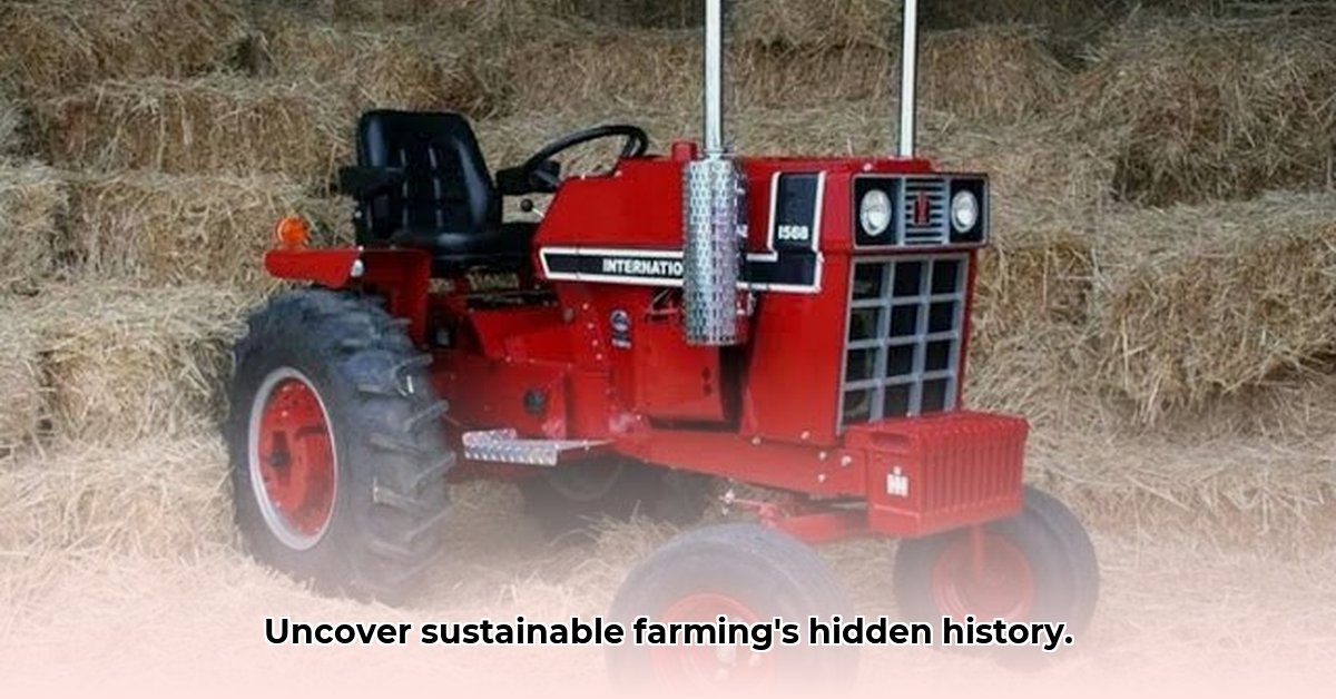 small-international-tractor